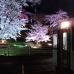舞木駅桜ライトアップ1