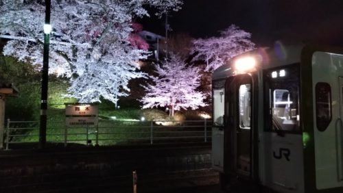 舞木駅桜ライトアップ1