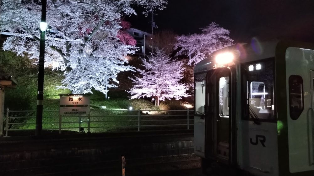 舞木駅桜ライトアップ1