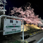 舞木駅の桜①