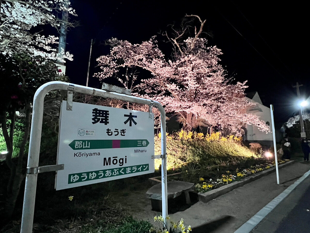 舞木駅の桜①