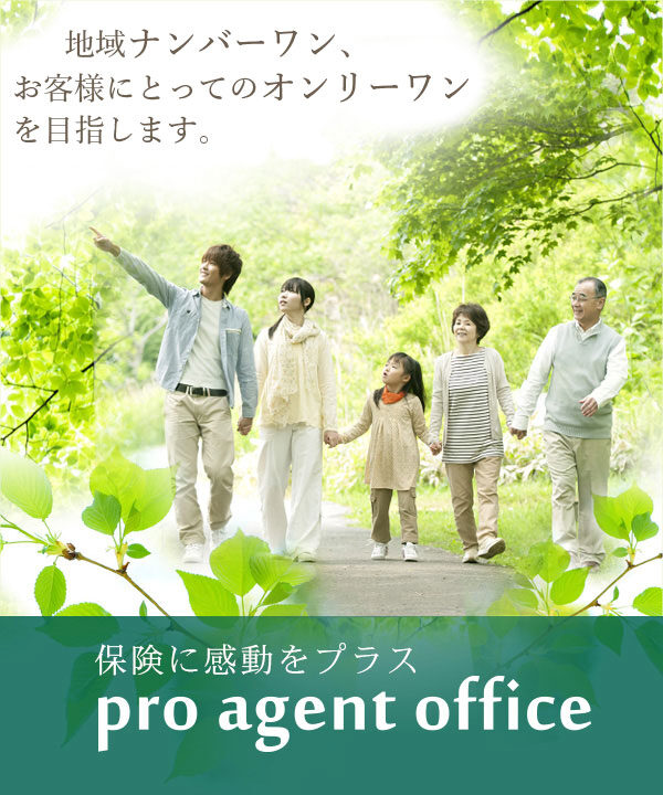 株式会社プロエージェントオフィス